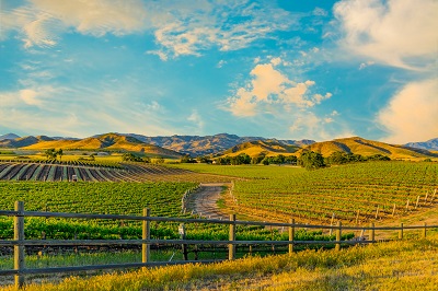 Farmland with crops